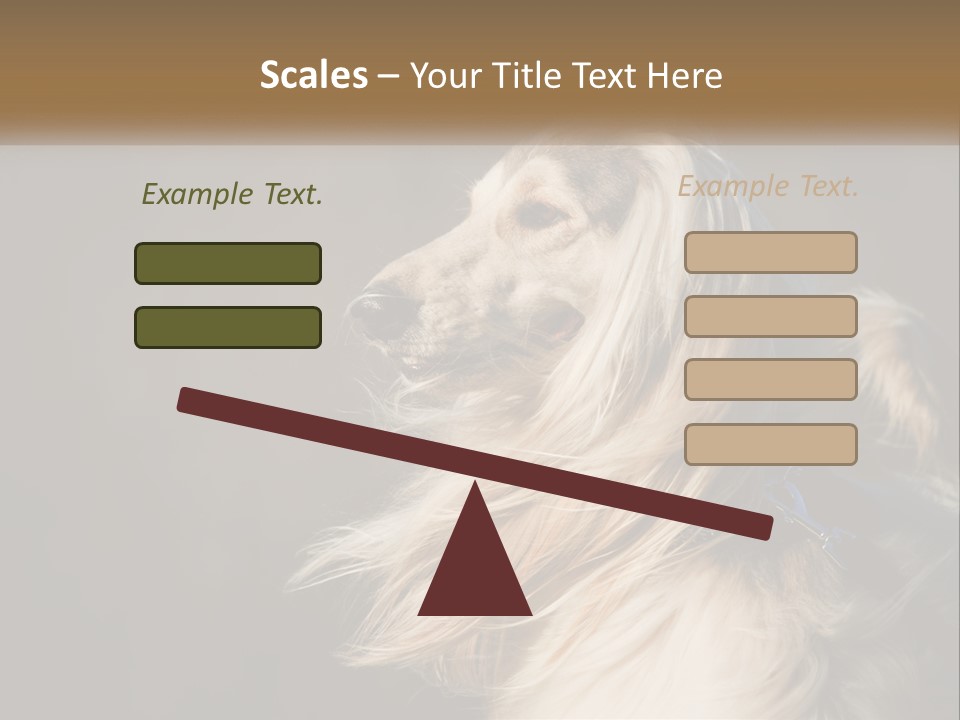 Park Construct Loan PowerPoint Template