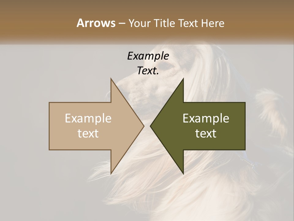 Park Construct Loan PowerPoint Template