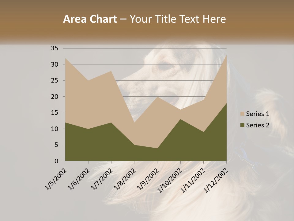 Park Construct Loan PowerPoint Template