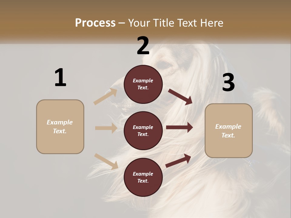 Park Construct Loan PowerPoint Template