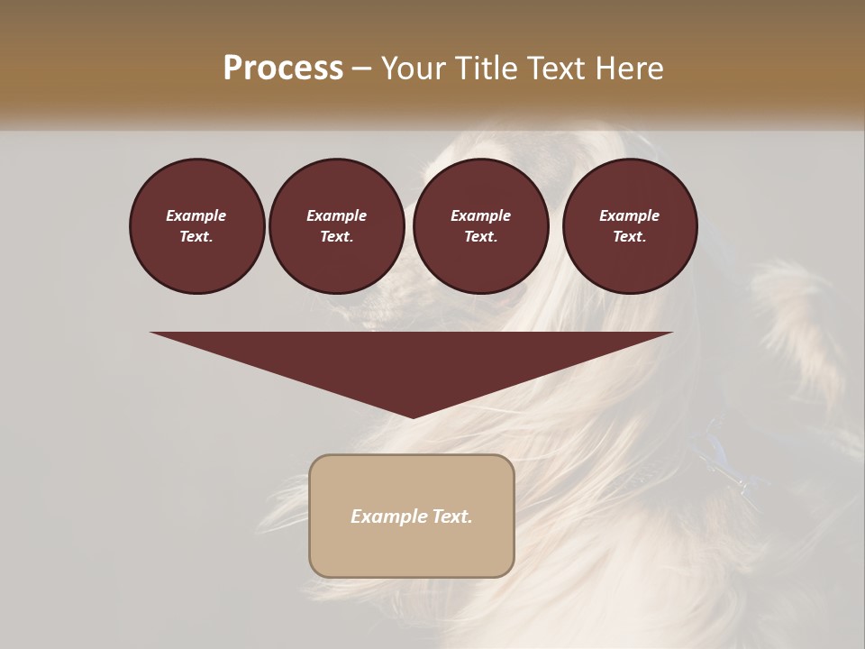 Park Construct Loan PowerPoint Template