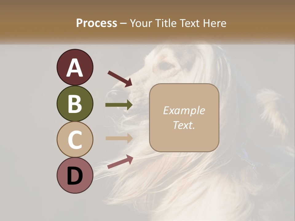 Park Construct Loan PowerPoint Template