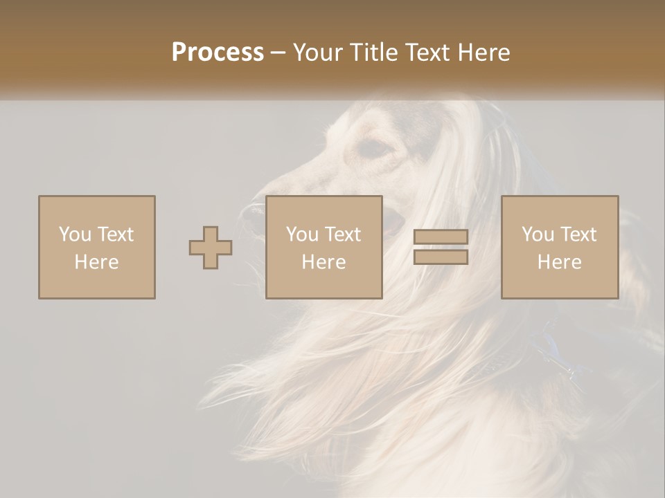 Park Construct Loan PowerPoint Template