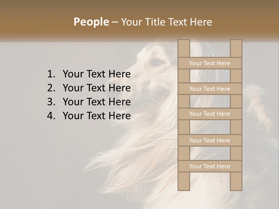 Park Construct Loan PowerPoint Template