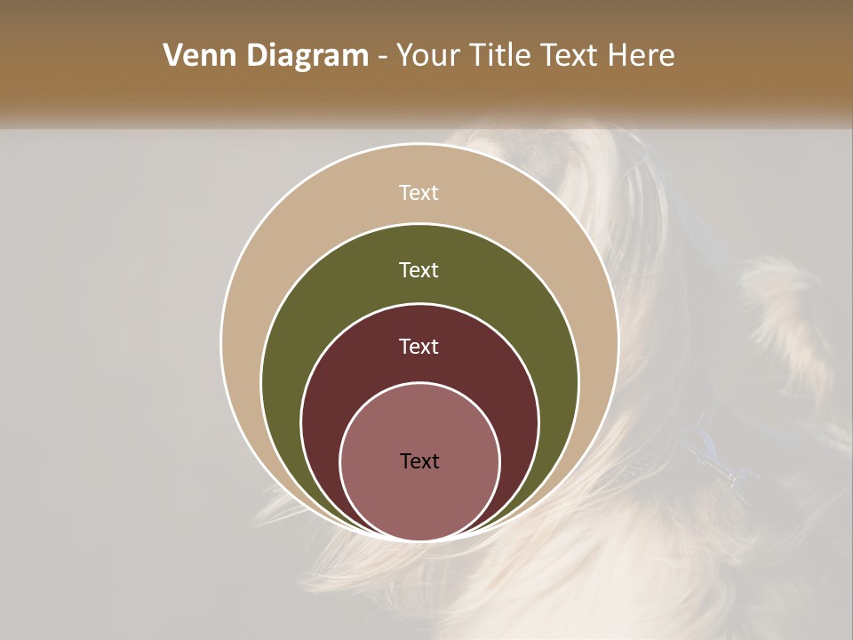 Park Construct Loan PowerPoint Template