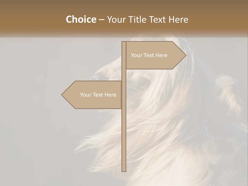 Park Construct Loan PowerPoint Template
