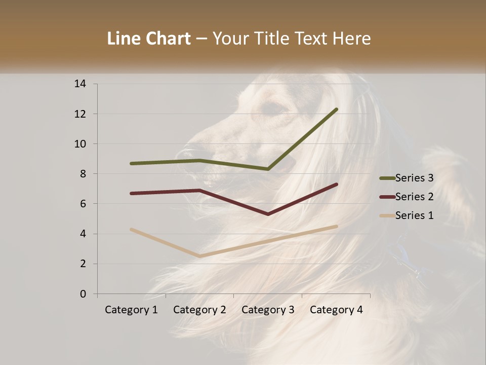 Park Construct Loan PowerPoint Template