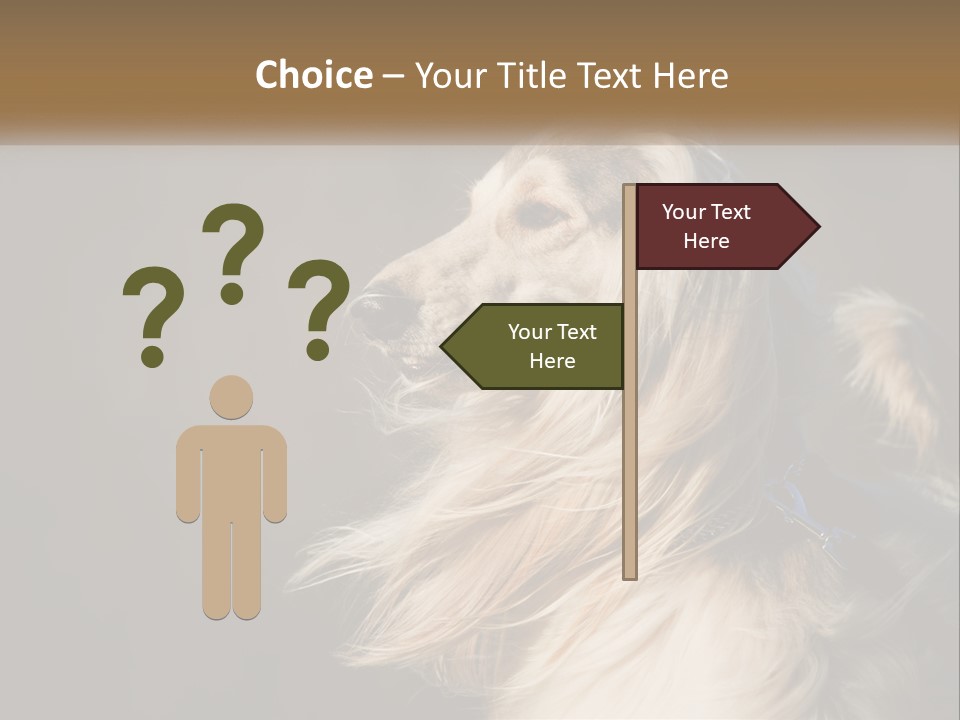 Park Construct Loan PowerPoint Template