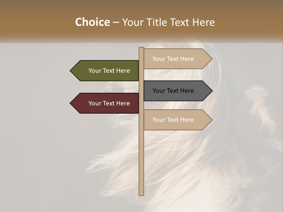 Park Construct Loan PowerPoint Template