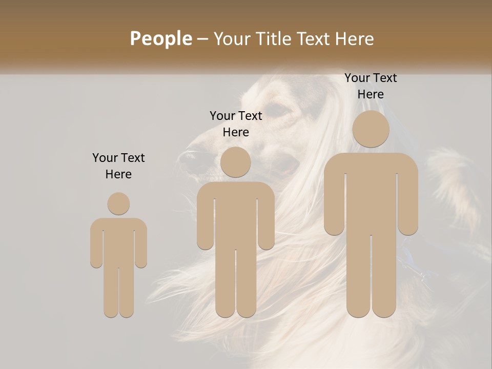 Park Construct Loan PowerPoint Template