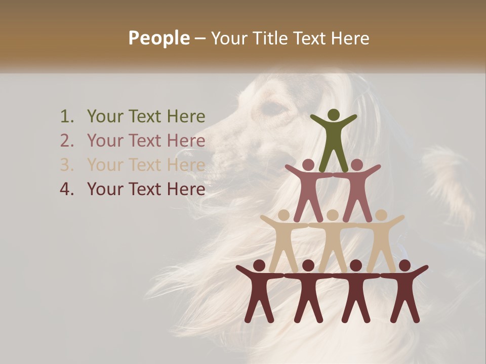 Park Construct Loan PowerPoint Template