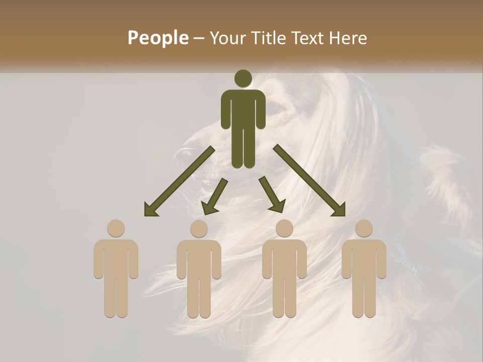 Park Construct Loan PowerPoint Template