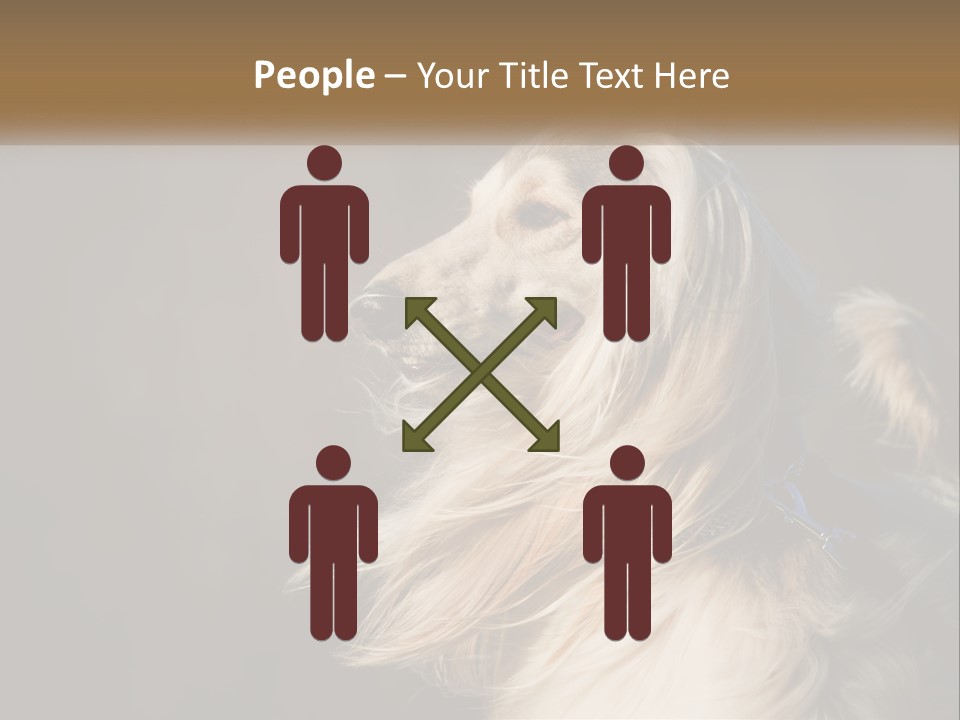 Park Construct Loan PowerPoint Template