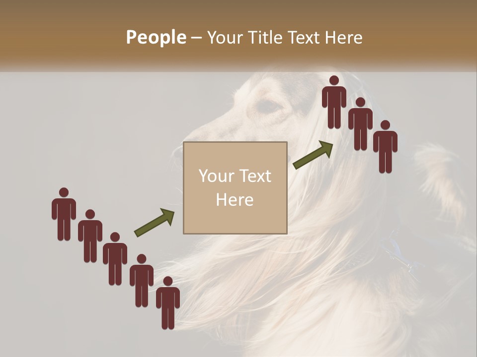 Park Construct Loan PowerPoint Template