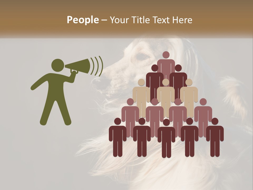 Park Construct Loan PowerPoint Template