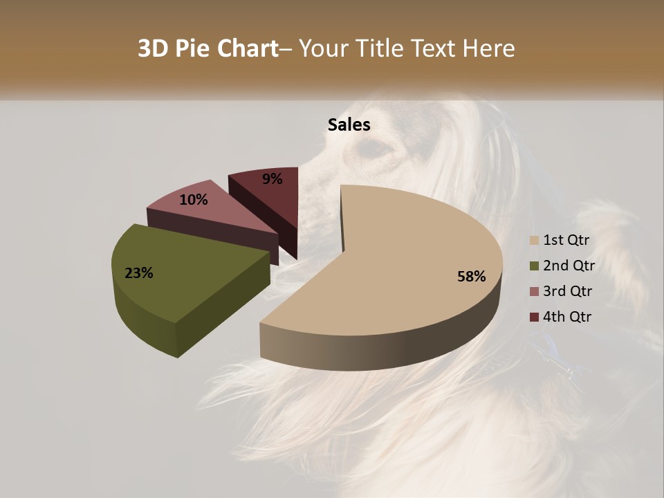 Park Construct Loan PowerPoint Template