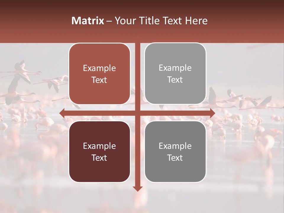 Build Leaf Cloud PowerPoint Template