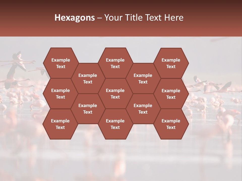 Build Leaf Cloud PowerPoint Template