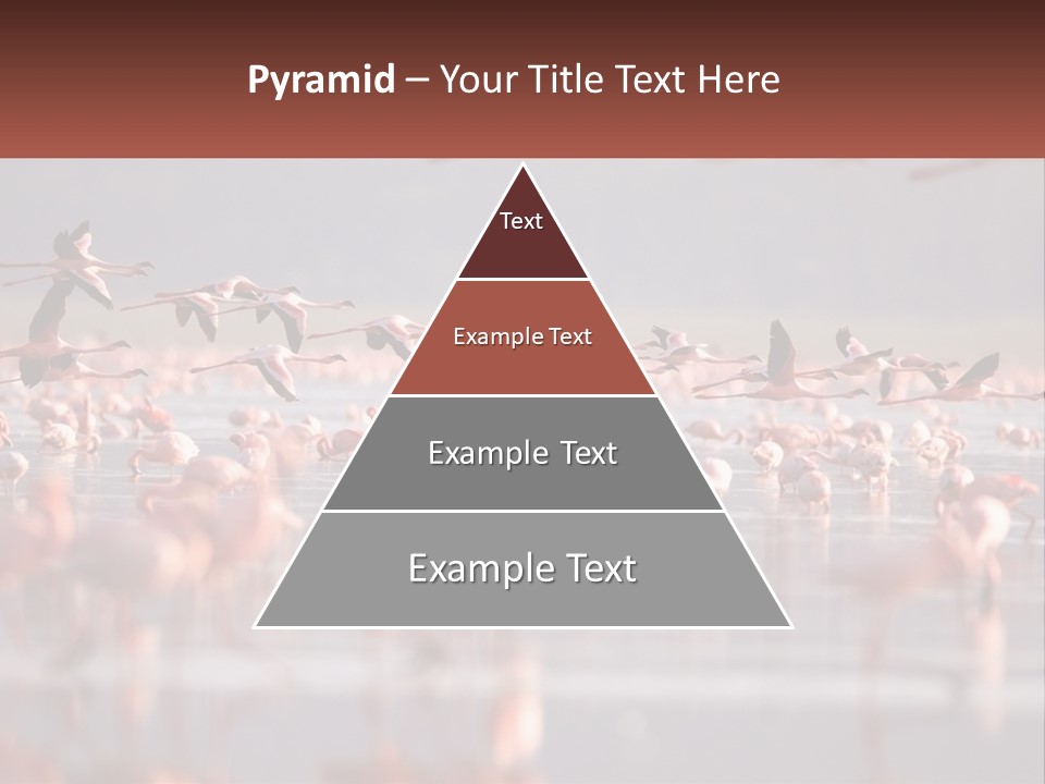 Build Leaf Cloud PowerPoint Template
