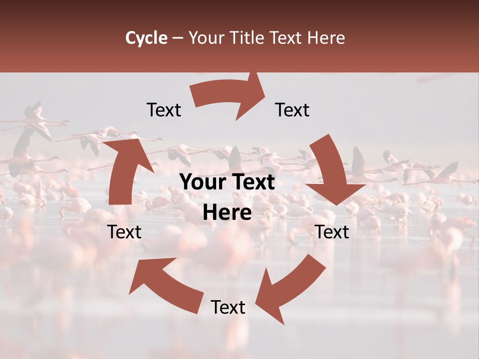 Build Leaf Cloud PowerPoint Template