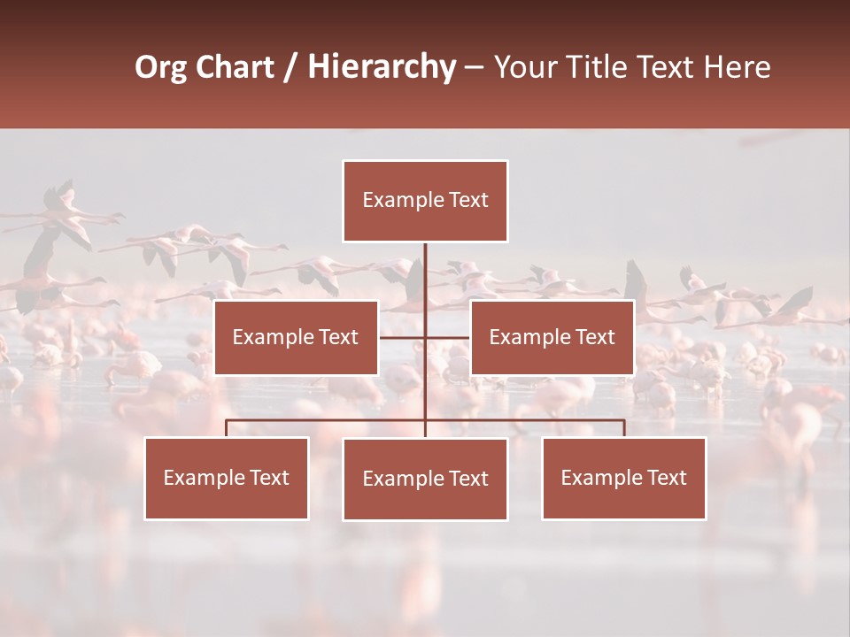 Build Leaf Cloud PowerPoint Template