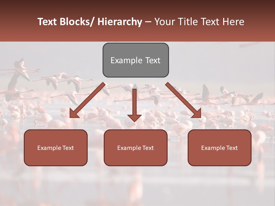 Build Leaf Cloud PowerPoint Template