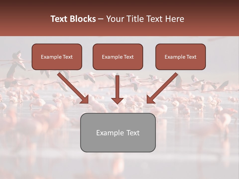 Build Leaf Cloud PowerPoint Template