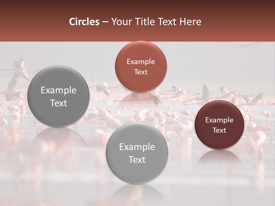 Build Leaf Cloud PowerPoint Template