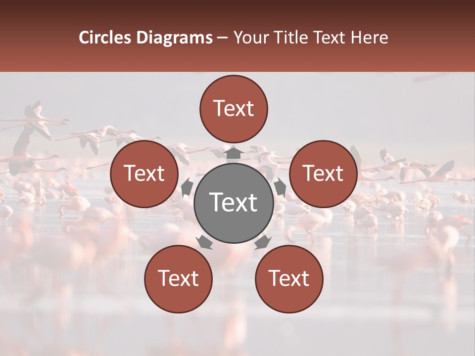 Build Leaf Cloud PowerPoint Template