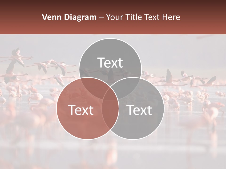 Build Leaf Cloud PowerPoint Template