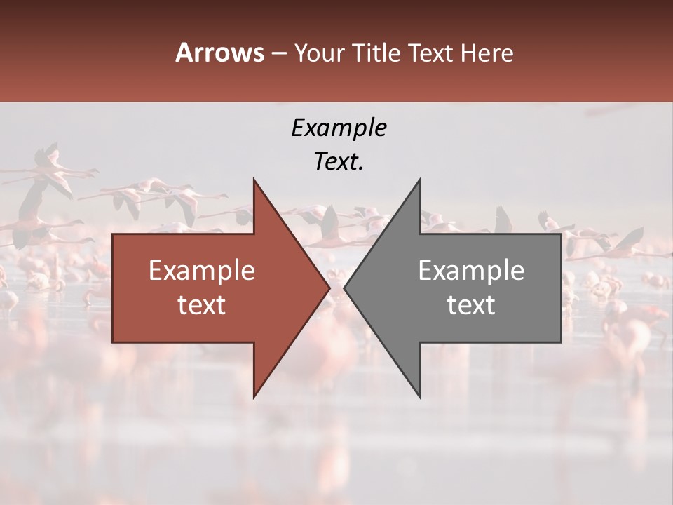 Build Leaf Cloud PowerPoint Template