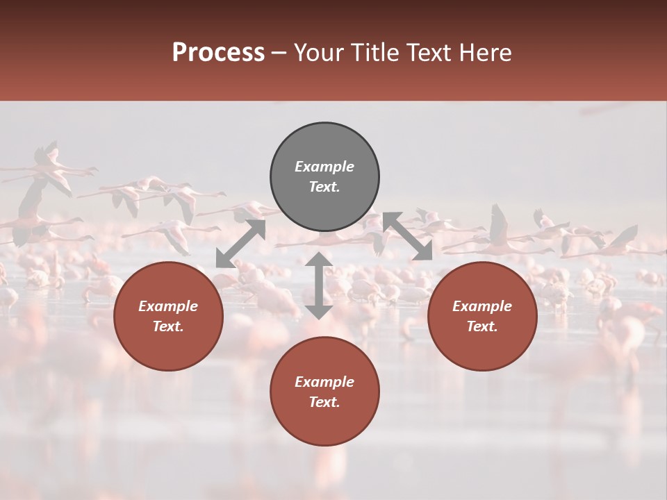 Build Leaf Cloud PowerPoint Template