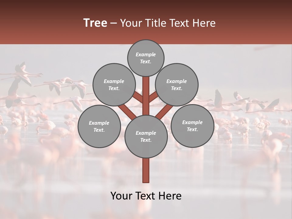 Build Leaf Cloud PowerPoint Template