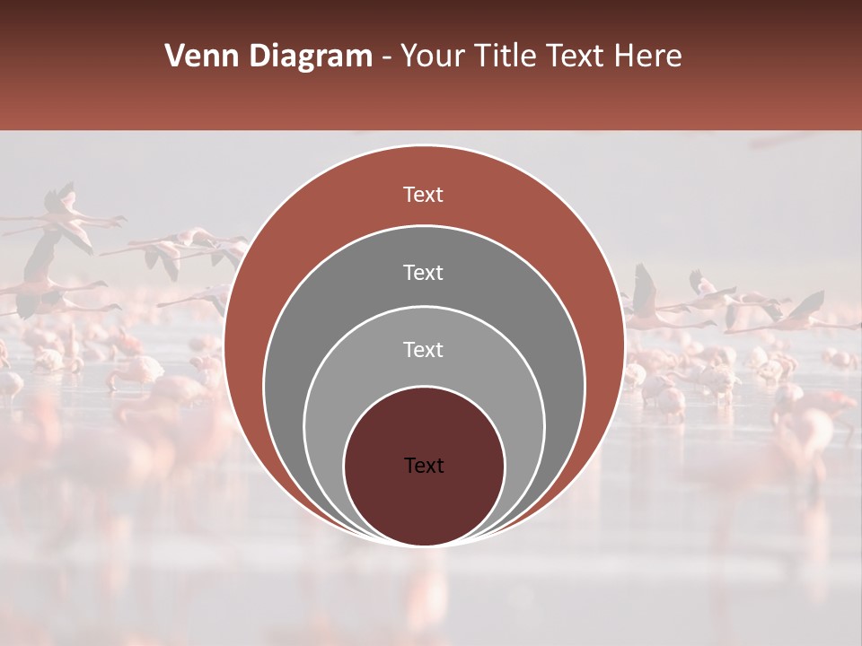 Build Leaf Cloud PowerPoint Template