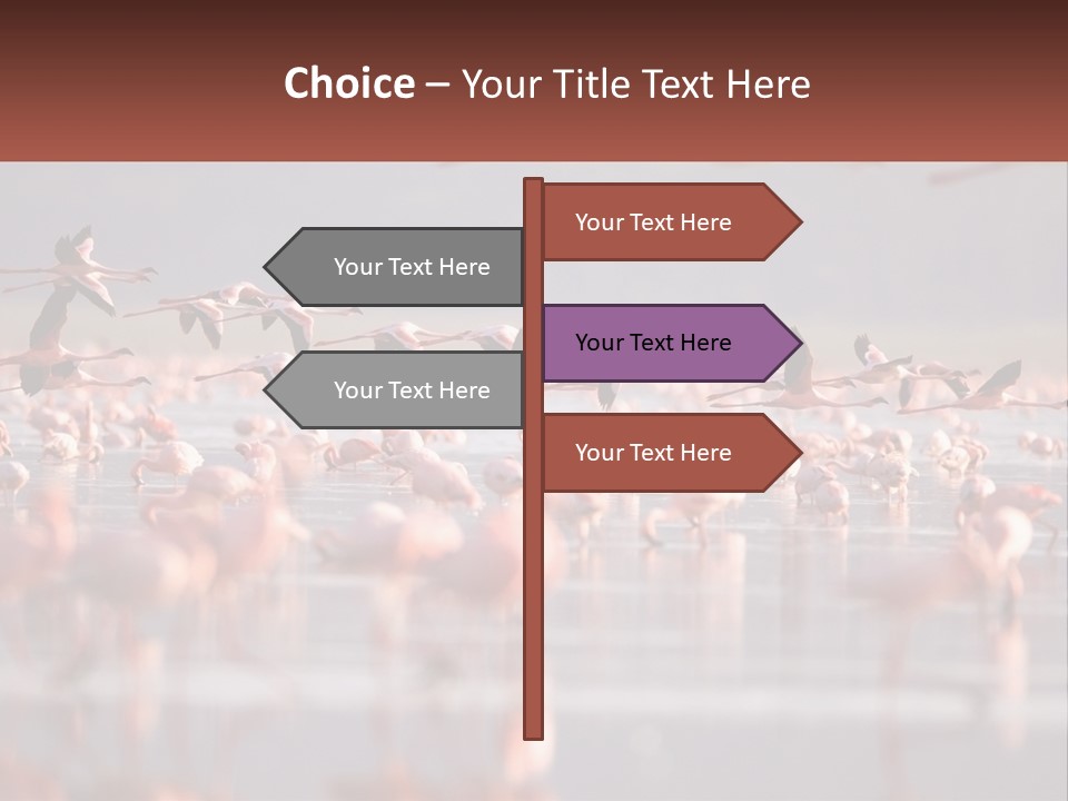 Build Leaf Cloud PowerPoint Template