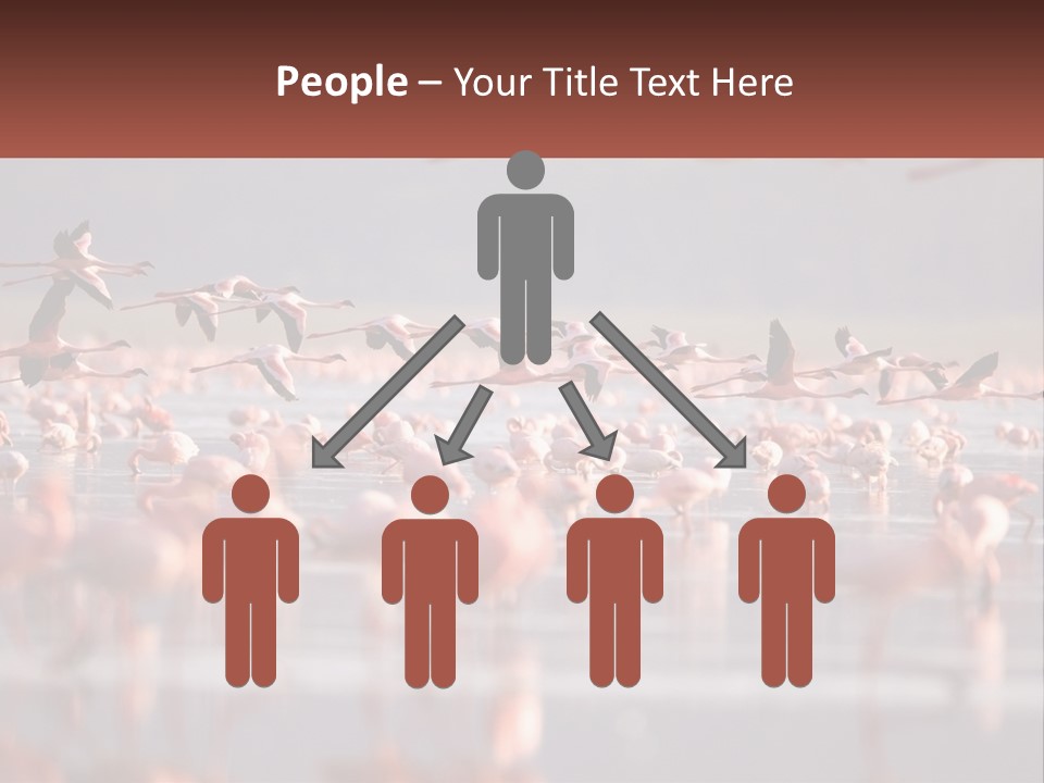 Build Leaf Cloud PowerPoint Template