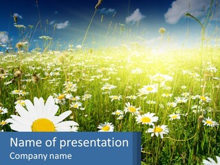 Grass Nature Purchase PowerPoint Template
