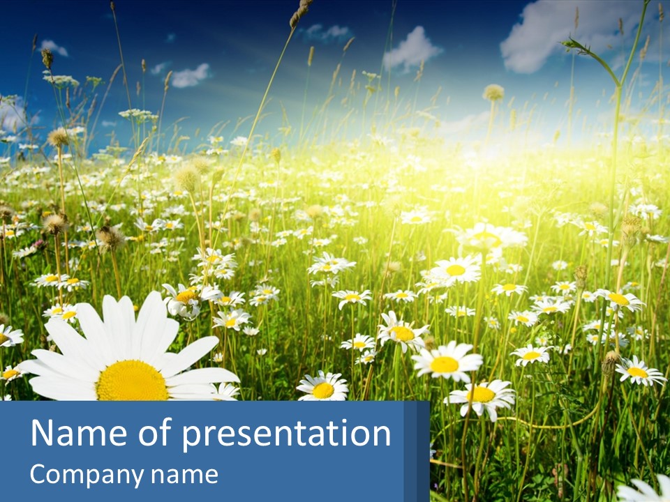 Grass Nature Purchase PowerPoint Template