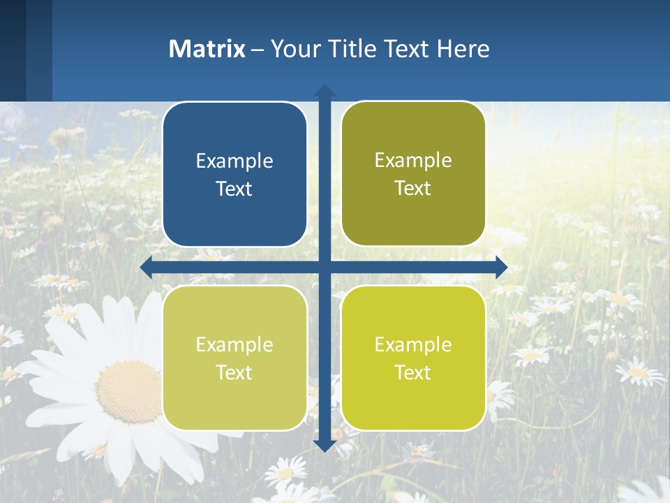 Grass Nature Purchase PowerPoint Template