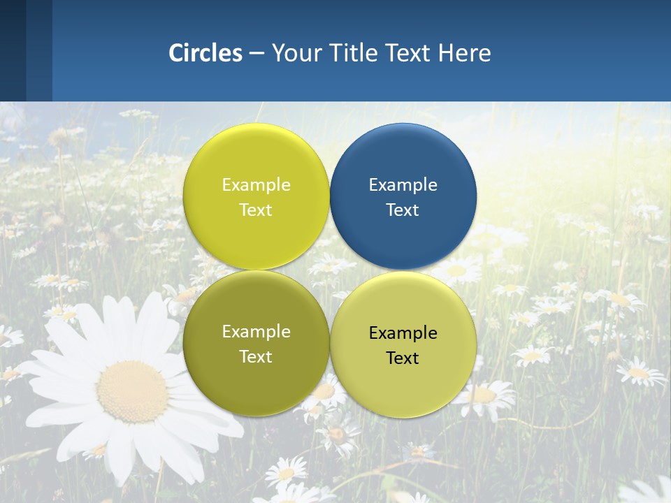 Grass Nature Purchase PowerPoint Template