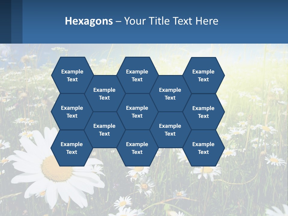 Grass Nature Purchase PowerPoint Template