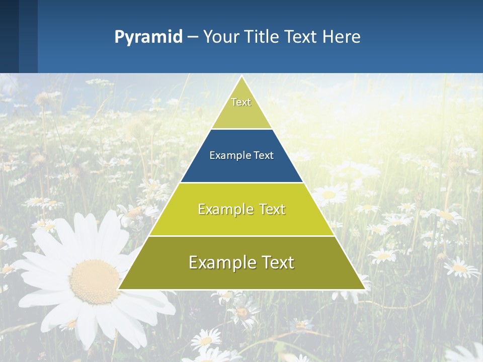 Grass Nature Purchase PowerPoint Template