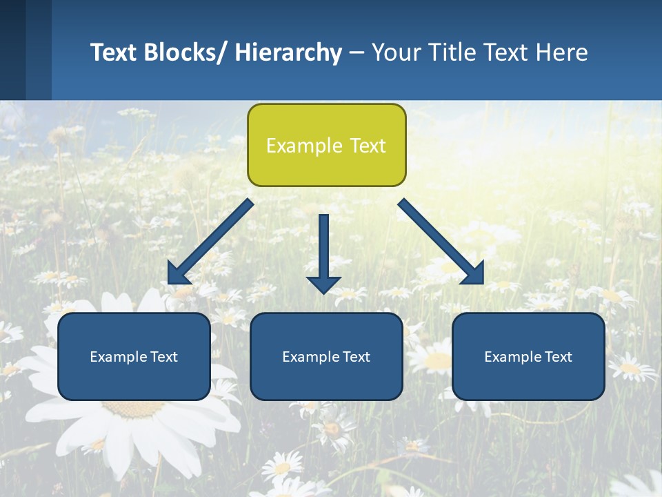 Grass Nature Purchase PowerPoint Template