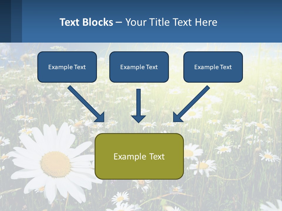 Grass Nature Purchase PowerPoint Template
