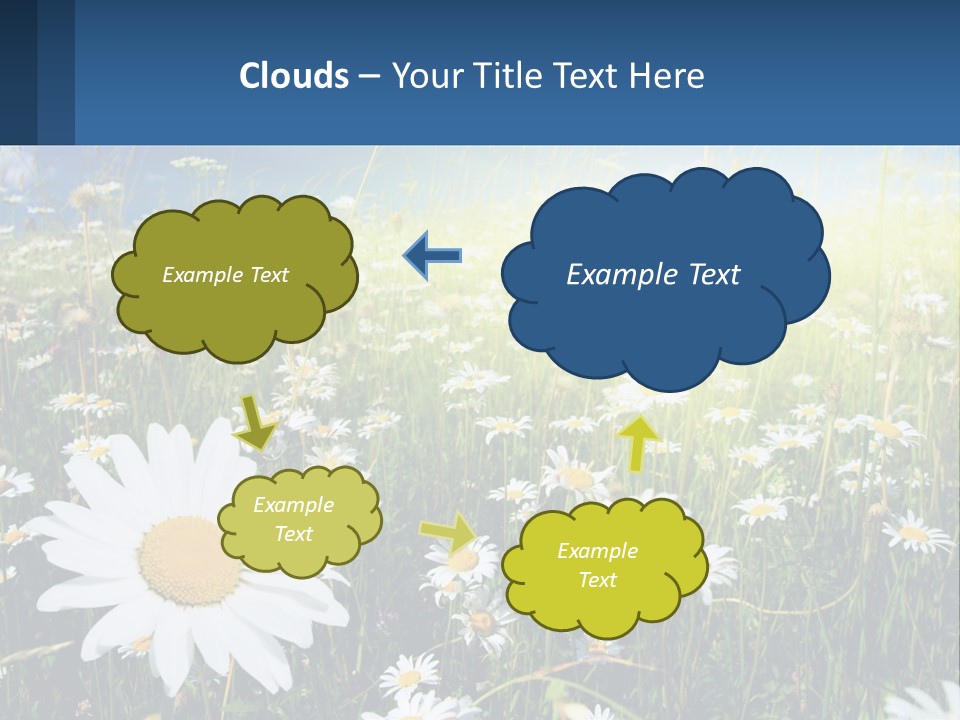 Grass Nature Purchase PowerPoint Template