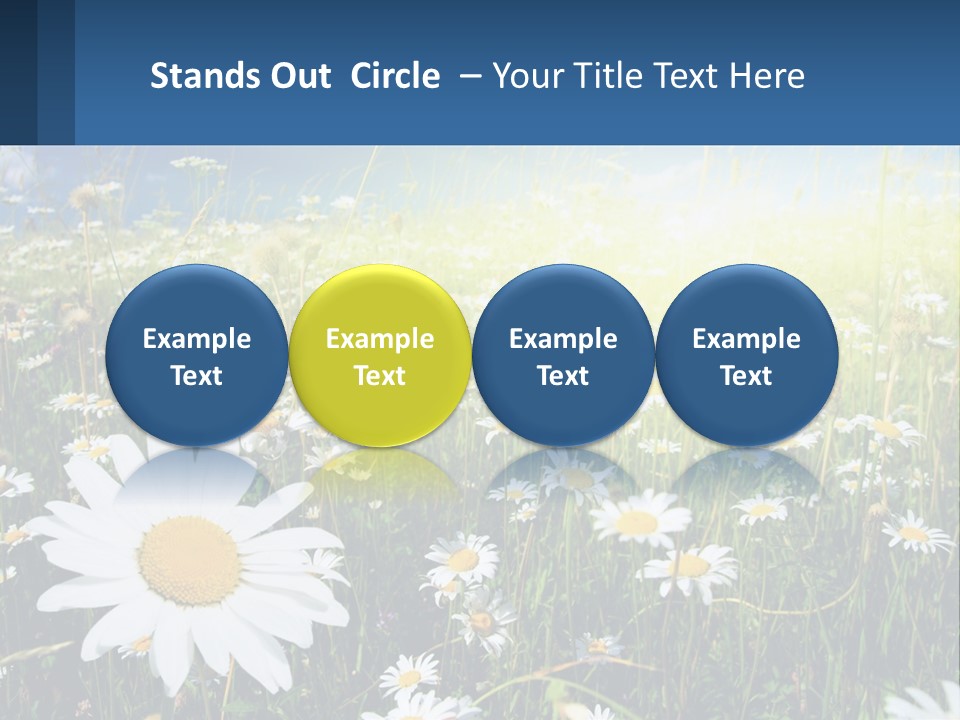 Grass Nature Purchase PowerPoint Template