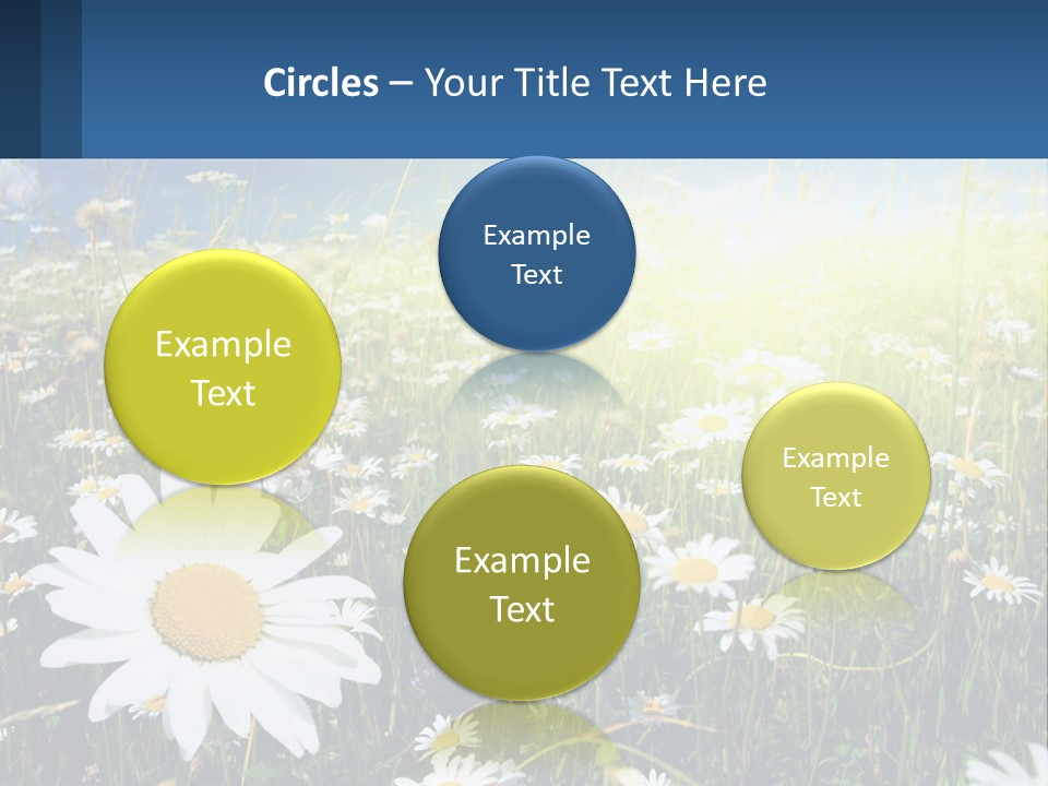 Grass Nature Purchase PowerPoint Template