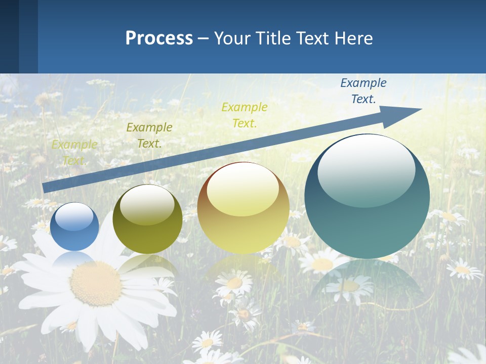 Grass Nature Purchase PowerPoint Template