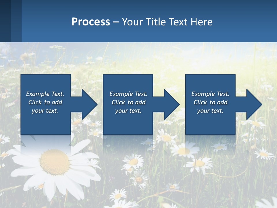 Grass Nature Purchase PowerPoint Template