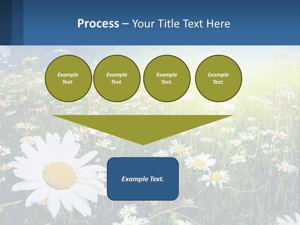 Grass Nature Purchase PowerPoint Template